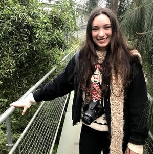 Moving sale - everything must go!